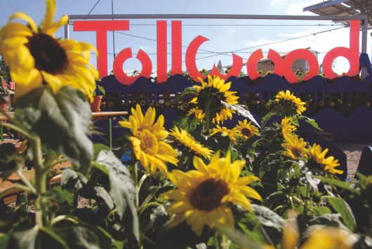 Tollwood Sommerfestival von Markus Dlouhy