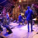 vollblut livemarketing