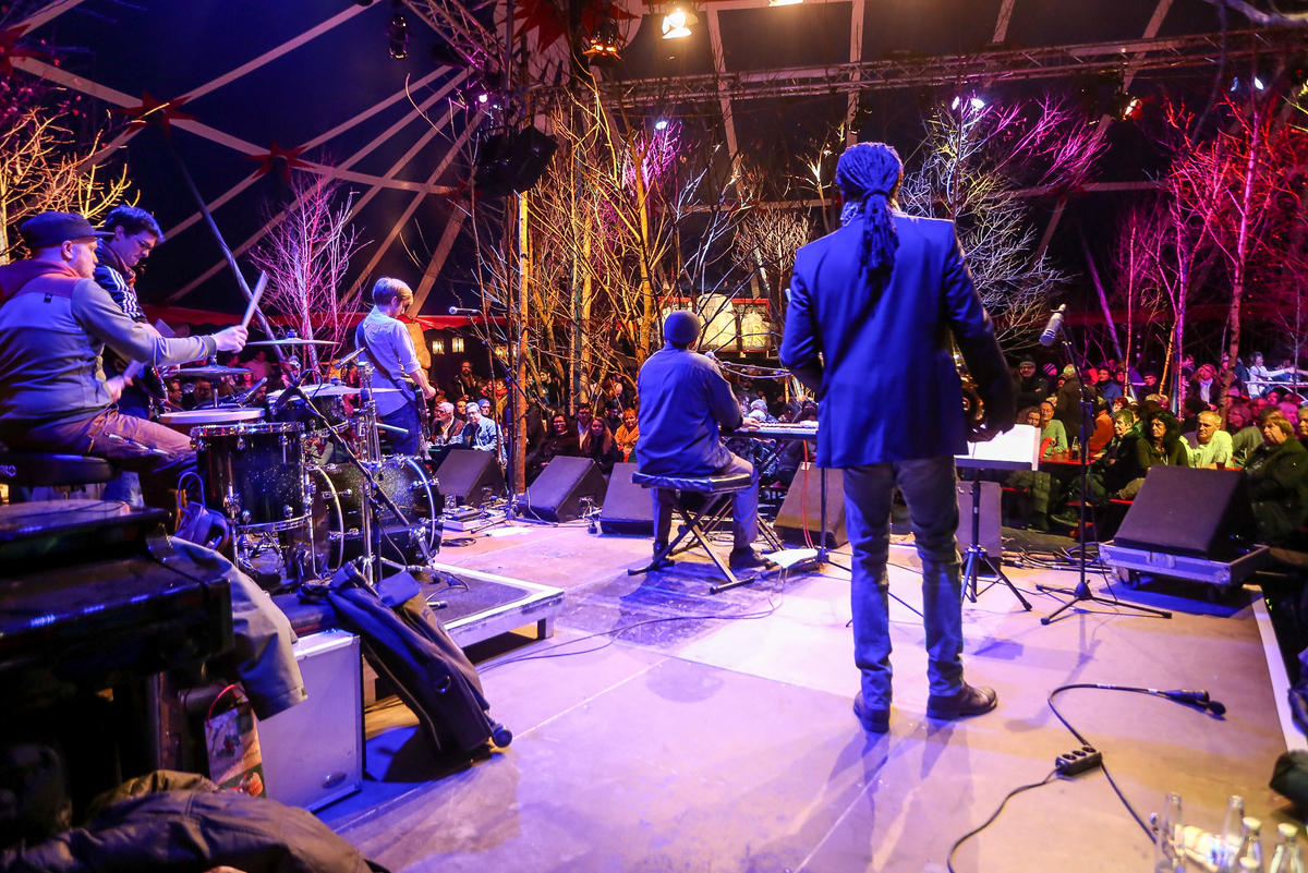 vollblut livemarketing