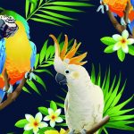 Die Eventagentur vollblut bietet ausgefallene Eventideen