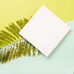 Einladungsschreiben für Firmenfeier auf einem Farn, vor blau-gelben Hintergrund