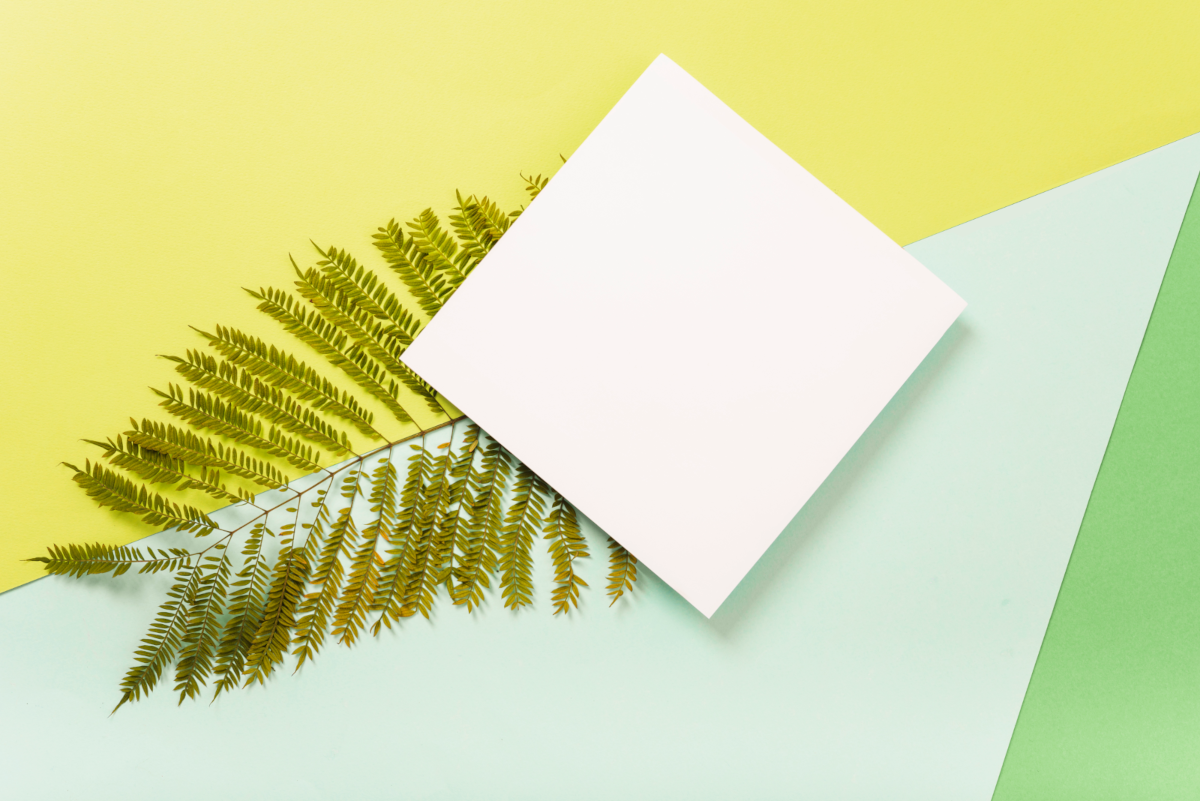 Einladungsschreiben für Firmenfeier auf einem Farn, vor blau-gelben Hintergrund